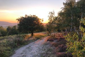 Hiking trail “Hiwweltour Heideblick”